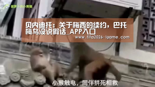 爱游戏体育官网