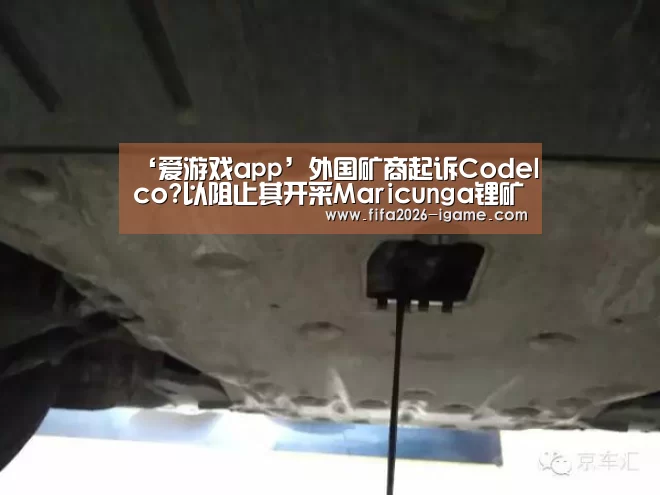 APP入口