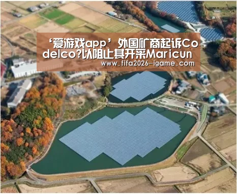 爱游戏app