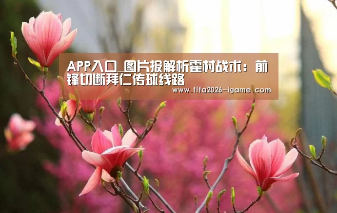 爱游戏体育官网